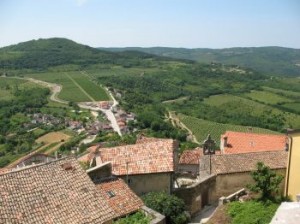 Motovun w chorwacji