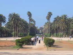 Casablanca w maroku