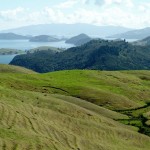 Coromandel