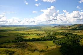 Llanos w wenezueli